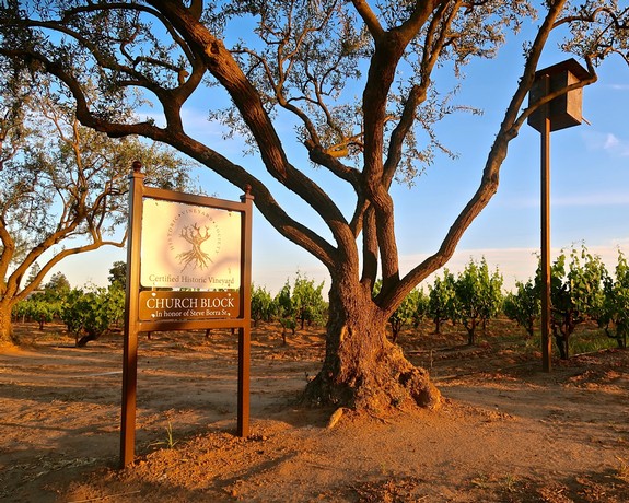 2022 update on Lodi’s oldest vine growths (part 1)—west side of the Mokelumne River AVA