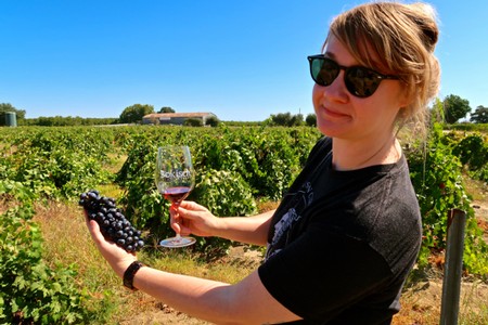 2019 fall update on the ideal Lodi wines for cheeses we love to eat most