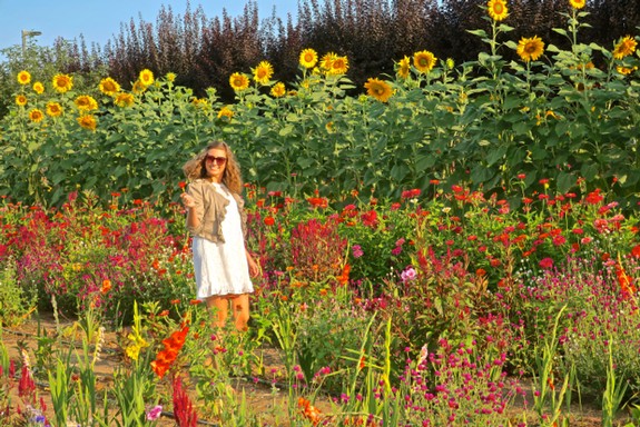 10 of Lodi wine country’s most Instagram-worthy destinations